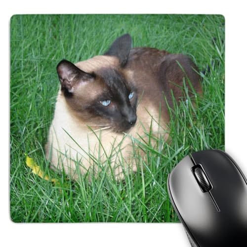 3dRose LLC 8 x 8 x 0.25 Inches Mouse Pad, Siamese Cat (mp_4496_1)