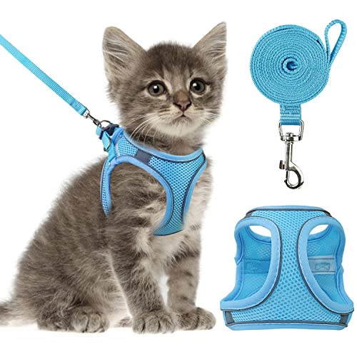 Top 10 Best Harness For A Kitten Reviews & Buying Guide Katynel