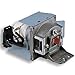 P Premium Power Products 5J-J4N05-001-ER Compatible Projector Lamp