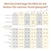 Amazon Basics Strapazierfähige Trainingspads für Hunde und Welpen, auslaufsicheres Design mit schnell trocknender Oberfläche, 20 stück (1 erPack), Blau/Weiß