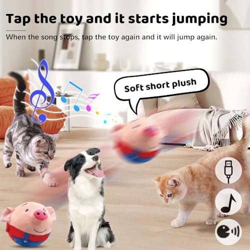 Juguetes Para Perro, Toy Imagen adicional