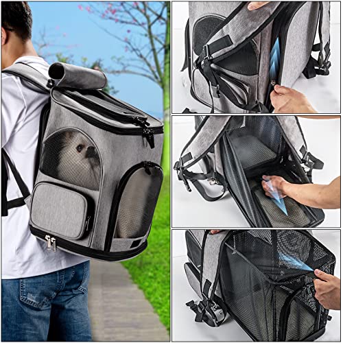 Expandable Cat Dog Carrier Backpack Pet Backpacks Carrier Airline Approved Pet Travel Carrier Backpack Breathable Mesh & Winter Mat With 2 Storage Pocket Backpacks For Cats, Puppy And Small Animals #TOP2