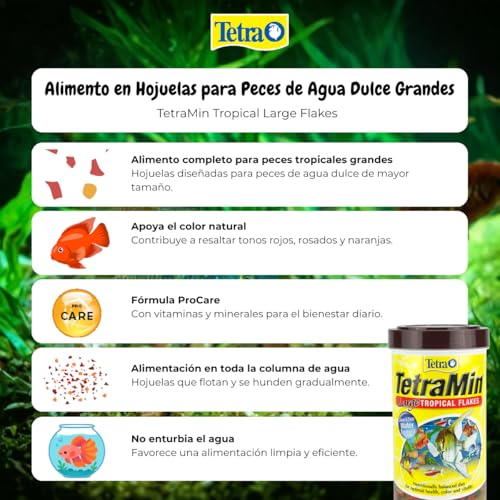Tetra TetraMin XL Tropical Flakes 2.82 Ounces, Large Flakes, Nutritionally Balanced Fish Food, Tetra TetraMin Large Tropical Fish Flake Food, 2.82 oz - Image 6