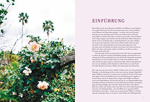 Minze, Salbei, Rose: Rezepte mit Kräutern und Blüten - 5