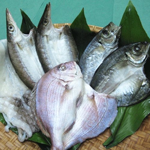CAS冷凍品宇和海 朝獲れ天然魚「一夜干し6枚セット」(真鯛1枚、カマス2枚、釣アジ2枚、スミイカ1枚)【1〜7営業日以内当店発送】