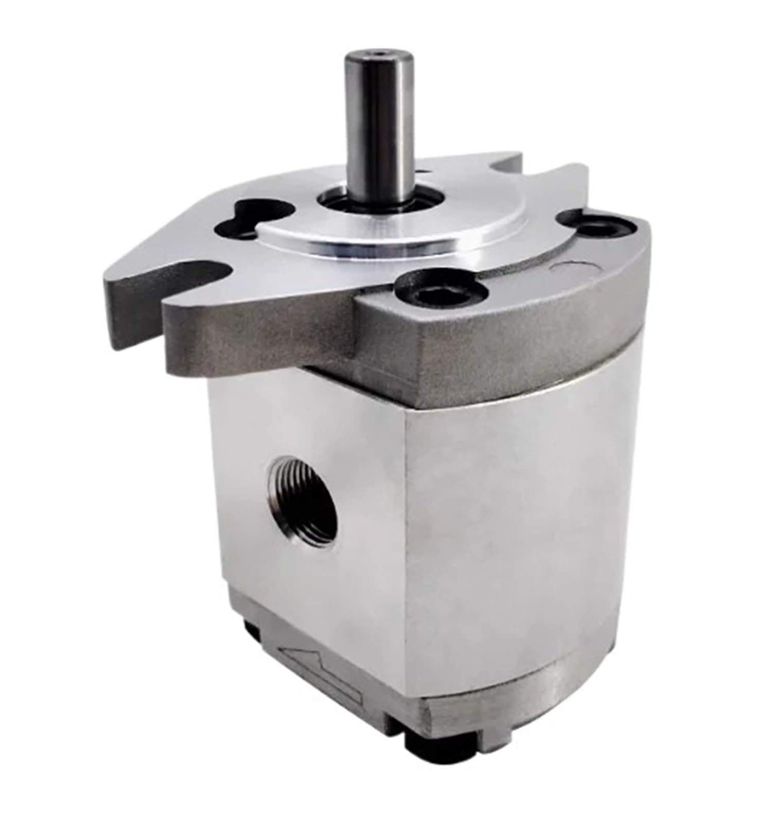 Cnxbsmlstw Hgp-1A-F2r 1Pcs Gear Pump Hydraulic Pump(Hgp-1A-F2r)