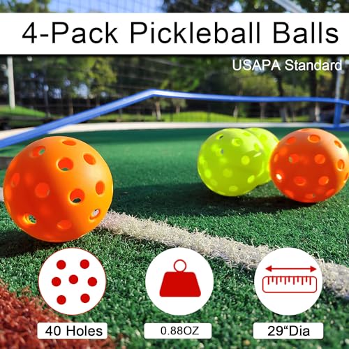 Image of Zdgao Portable Pickleball Net with Pickleballs and Carry Bag for Driveway