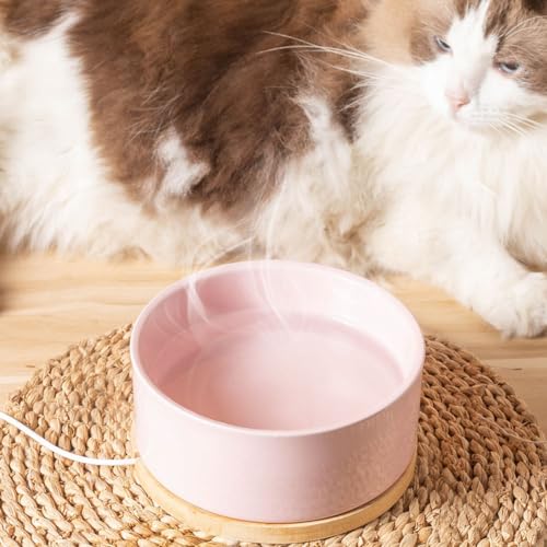 Liemuao Beheizter Katzennapf, 350 ml/600ml Haustier-Wassernapf-Heizung, beheizter Keramik-Wassernapf,USB-Lade-Wasserspender für Katzen, Hunde im Freien und drinnen (Weiß, 350ML)