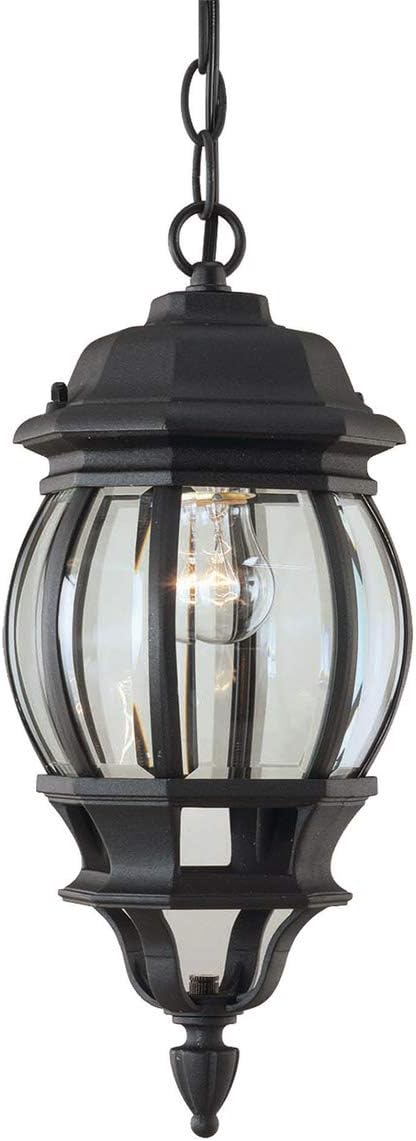 Forte Lighting 1702-01 Outdoor Pendant from the Exterior Lighting Collection, Black