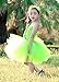 Tutu Dreams Baby Girls Green Fairy Princess Costumes Set Flower Sash Light Green Tutus Birthday Party (S, Lime green)