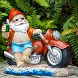 caroanna Garden Gnome Statue Funny Summer Figure Beach Gnome Moto Bike Statue with Beer – Resin Motorcycle Gnome Gnome Sculpture for Patio Lawn,Yard,Indoor Tabletop Ornament