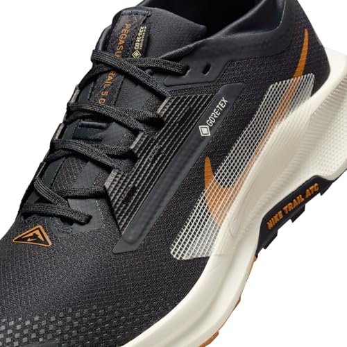 Image of Nike Men's Pegasus Trail 5 Gore-texSneaker