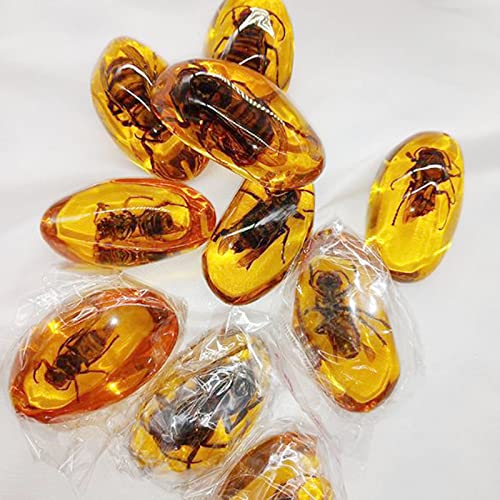 Image of Acxico 2Pcs Beautiful Amber Hornet Fossil Insects Manual Polishing