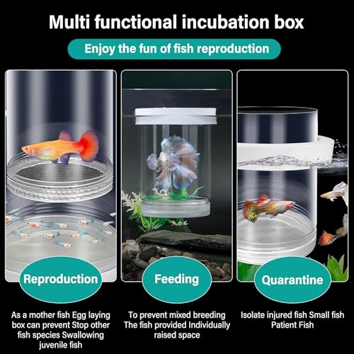 Image of Floating & Mountable Breeding Box - Safe Fry Nursery, Fish Isolation Tank (3.38 inchx3.38 inchx5.4 inch) (1 Set)