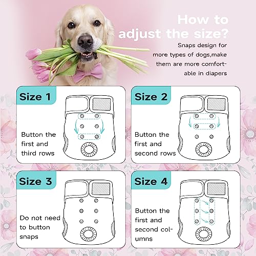 Image of Paw Legend Washable Reusable Female Dog Period Diapers for Heat Doggie Puppy Diapers for Female Dogs (3 Pack, X-Small)