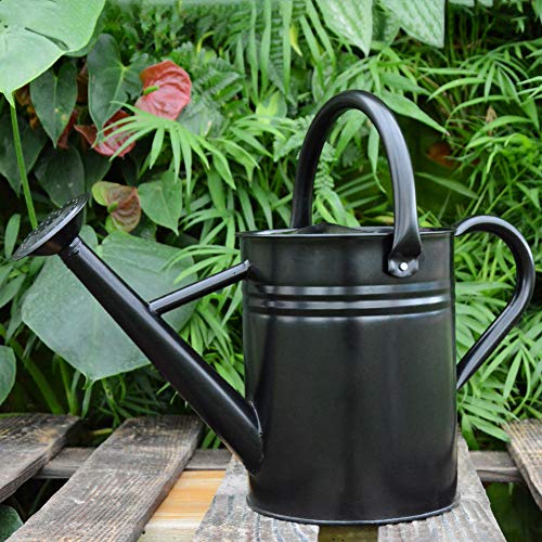 yourjoy Galvanized Metal Watering Can with Long Spout, 4L One Gallon Watering Can for Outdoor Indoor House Garden Plants, Black
