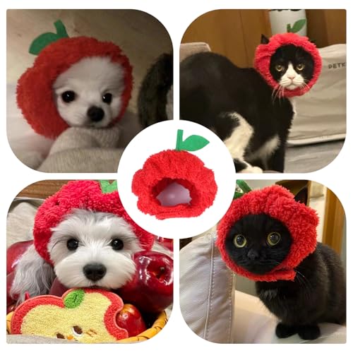 Accesorio Disfraz Sombrero Apple para Mascotas miniatura 6