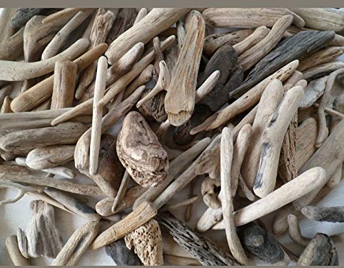 Driftwood Decor Bundle - (10 Pieces) 12-18 inches Long, Approx
