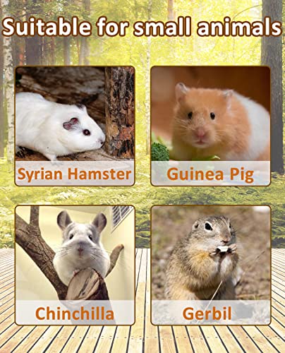 BNOSDM Plataforma de madeira de brinquedo para hamster com escada, plataforma de animais pequenos, p