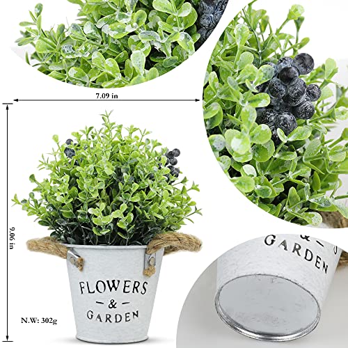 Supecaty 2 Pack Artificial Plants Fake Purple Lavender And Blueberry Plants In Metal Pots, Small Farmhouse Flowers For Indoor Outdoor Home Bathroom Kitchen Office Party Decoration #TOP2