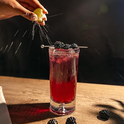 Blackberry Spritzer Lemonade Iced Tea Made With Hibiscus And Lemon Myrtle - Caffeine Free - 8 Individual 1Oz Filter Pouch Tea Bags, Each Yields 60Oz Of Tea - Packed In Resealable Kraft Bag #TOP3