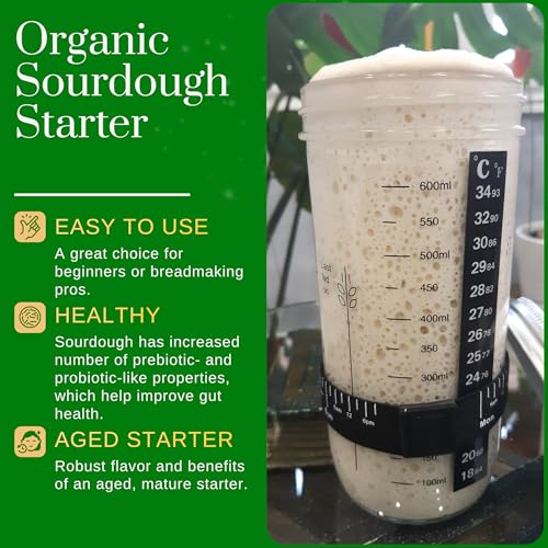 Image of Organic Sourdough Starter - Non-GMO Dehydrated Heirloom Style Organic Sourdough Starter Kit for Sourdough Bread, Pizza, Buns, Pancakes, Muffins | Easy to follow instructions.