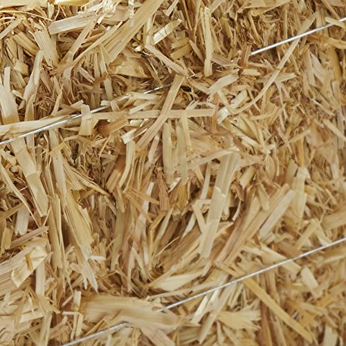 Image of FloraCraft Decorative Straw Bale 5 Inch x 6 Inch x 13-Inch Natural,(Pack of 12)