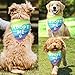 Adopt Me Dog Bandana Adopt Me Pets Bandana Adopt Me Bandanas for Dogs Rainbow Dog Bandana Funny Cute Dog Bandana Photo Prop Pet Scarf Accessories for Pet Dog Lovers Gifts