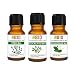 Set Inverno 3 oli essenziali balsamici Eucalipto - Timo - Ravintsara 100% Puri Naturali Biologici certificati uso interno - Diffusori Umidificatori Nebulizzatori aromaterapia - Laborbio