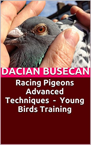 Racing Pigeons Advanced Techniques - Young Birds Training