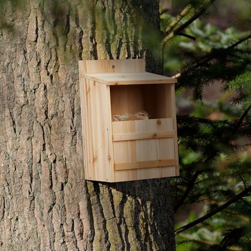 Relaxdays Nesting Box for Half-Hollow Breeders, DIY, Entrance Gap HxW: 10 x 19 cm, Wood, Bird House for Hanging Natural - Image 2