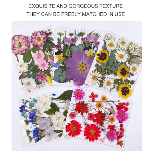 5 bolsas de flores prensadas secas para manualidades miniatura 3