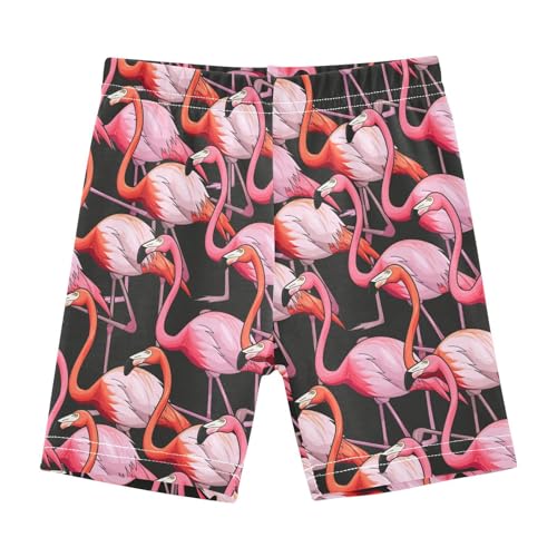 JHKKU Girls Flamingos Shorts Cotton Cartwheel Bike Kids Biker Under Dress Dance Short Girl Clothes 10Y