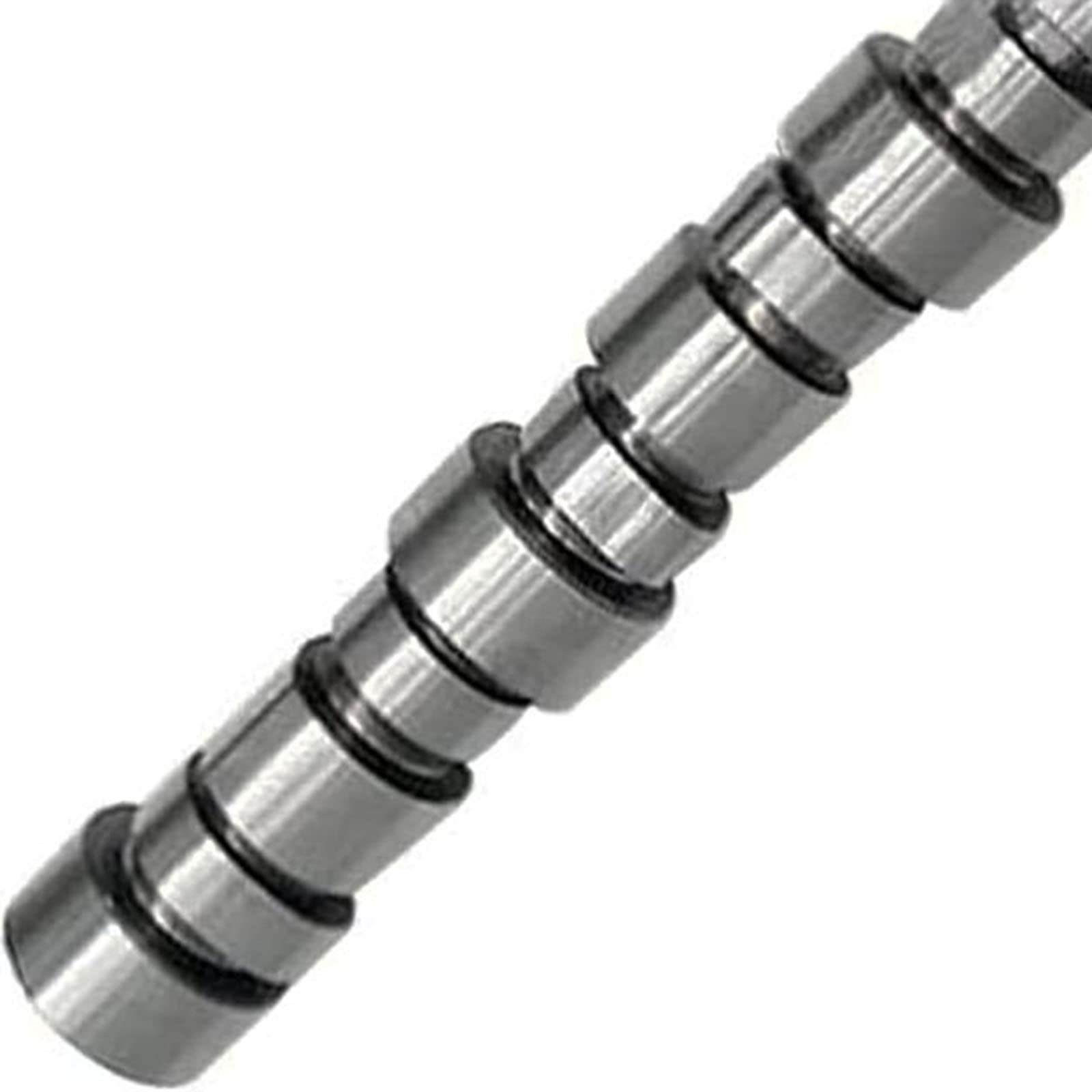 とむ Amazon.com: dertgmlm Camshaft 3025517 Fits for Cummins NT855