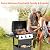 3 Burners Portable BBQ Gas Grill, 30000 BTU Small Camping Barbecue Propane Grills Outdoor Cooking, Built-in Thermometer Stainless Steel Barbeque Propane Grills for Patio/Backyard/Garden/Picnic