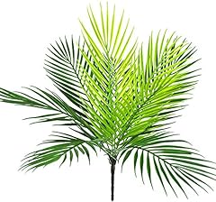 Palm Plant / 1pcs