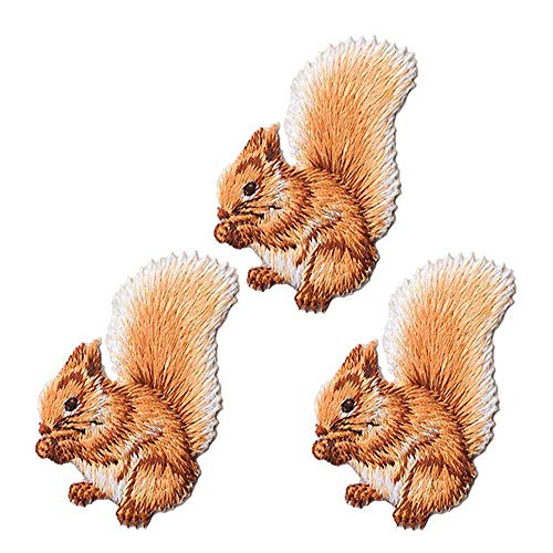 3 Pack Delicate Embroidered Patches, Cute Squirrel Embroidery Patches, Iron On Patches, Sew On Applique Patch, Custom Backpack Patches for Men, Women, Boys, Girls, Kids, Super Cool!