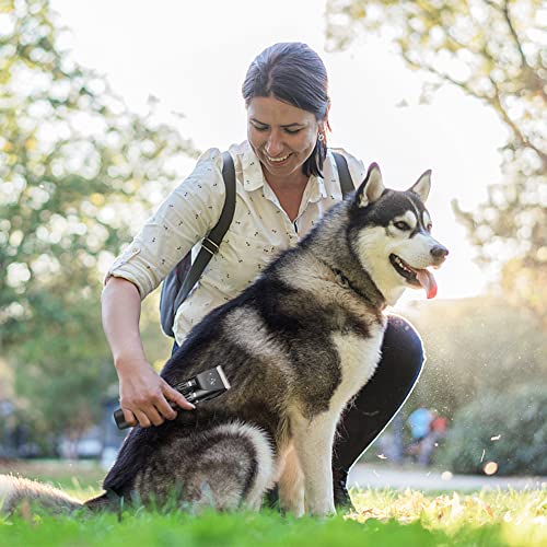 VSSHE Hundeschermaschine,Leise Schermaschine Hund und Katze Mit 2 Geschwindigkeiten Wiederaufladbarer Kabelloser Kätzen und Hunde Pferde Haarschneidemaschine Schermaschine Hund Mit 11 Zubehör Schwarz
