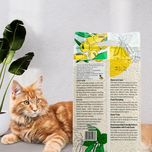 Image of Cature Care by Nature Tofu Cat Litter Natural Flushable Clumping Litter Plant Based Biodegradable Ultra Odour Control 99% Dust Free Low Tracking Cat Litter (Original, 6L)
