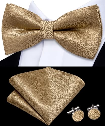 Image of Dubulle Mens Paisley Striped Bowtie Set Pre-tied Bowtie for Men and Pocket Square Set Wedding Business