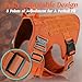 rabbitgoo Tactical Dog Harness for Small, Heavy Duty Pet Harness with Handle, No-Pull Service Vest Small Breed, Adjustable Military Dog Vest for Training Hunting Walking, Orange, S