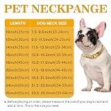 15mm Breite Goldenes Rostfreier Stahl Hundehalsband Metall Hundehalsband Hundekette Halsbänder Pet Training Walking Halsband(50cm)