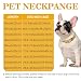 15mm Breite Goldenes Rostfreier Stahl Hundehalsband Metall Hundehalsband Hundekette Halsbänder Pet Training Walking Halsband(50cm)