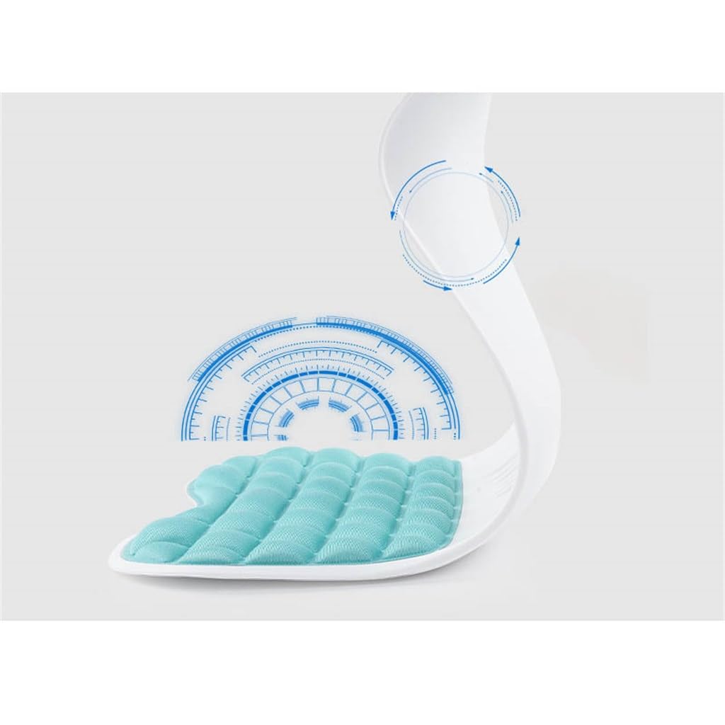 Coussin de Protection Lombaire Capital orthopédique Orthèse de Dossier Anti-bossu