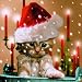 Produktbild 20 Servietten Sleepy Cat  Verträumte Katze/Winter/Weihnachten 33x33cm