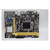 WSDSB Gaming-Motherboard für ASUS H81M-A DP/M11AD H81 Motherboard M-ATX 1150 Pin unterstützt 4590 Gaming Motherboard