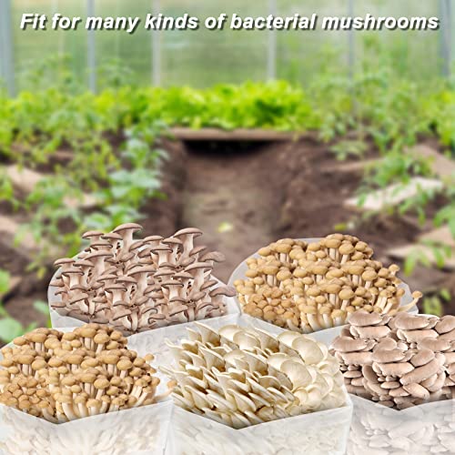 ZYLLZY 20Pcs Transparent Mushroom Grow Bags,Large Size Breathable Mushroom Substrate Bag,Autoclavable Spawn Grow Bags Media for Garden Plant Mushroom Growing - Image 2