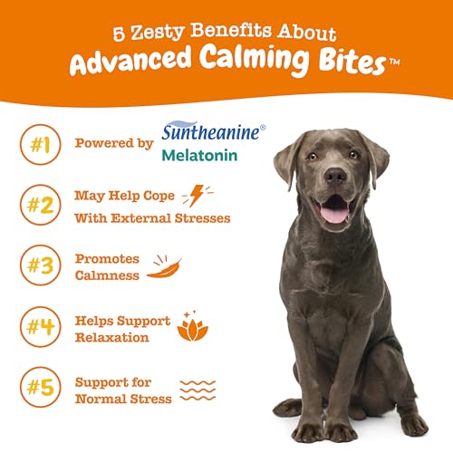 Image of Zesty Paws Calming Chews for Dogs - for Everyday Stress, Relaxation, Composure, and Separation Turkey 90 Count (Pack of 2)