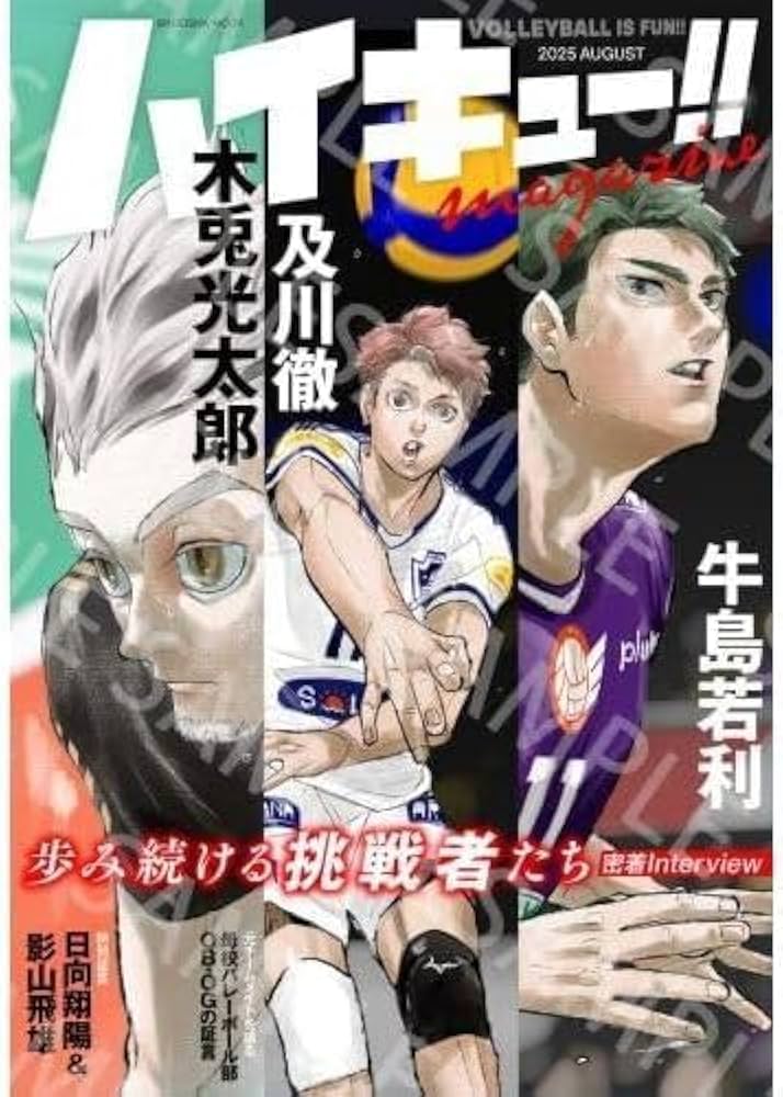 ハイキュー!! 全45巻セット33.5巻+ 2024年マガジン(ステッカー未開