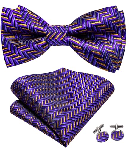Image of Dubulle Mens Paisley Striped Bowtie Set Pre-tied Bowtie for Men and Pocket Square Set Wedding Business